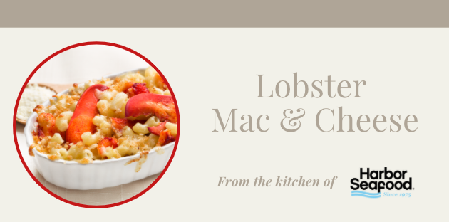 Lobster  Mac & Cheese