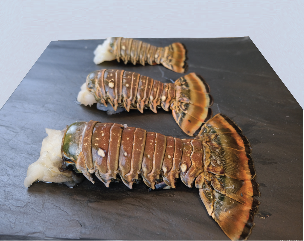 Warm Water Lobster Tails - 16-20oz - LIMITED SUPPLY